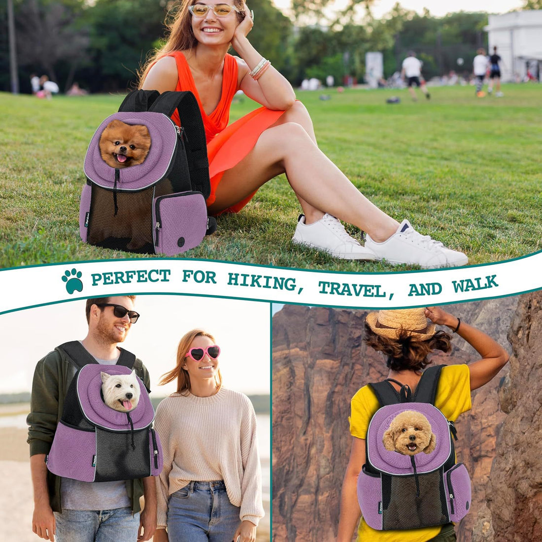 Portable Breathable Pet Carrier Backpack For Travel And Outdoors