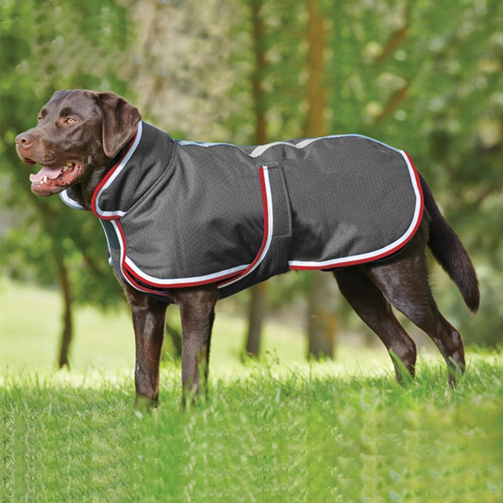 Warm Waterproof Leisure Jacket For Pets Autumn Winter