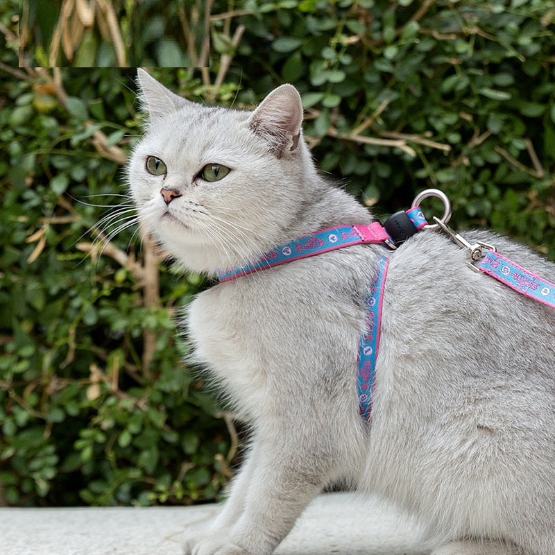 Pet Chest Strap Vest Leash Adjustable Walking Harness With Bell