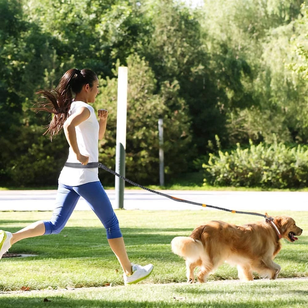 Adjustable Pet Harness Collar Leash For Jogging And Walking