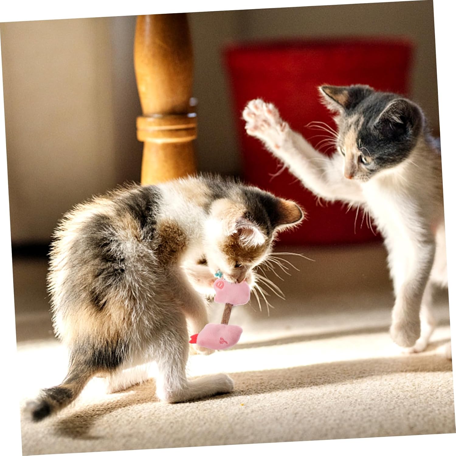 Teeth Cleaning Silvervine Chew Sticks Interactive Toys For Pets