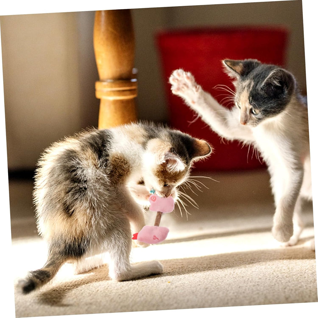Teeth Cleaning Silvervine Chew Sticks Interactive Toys For Pets