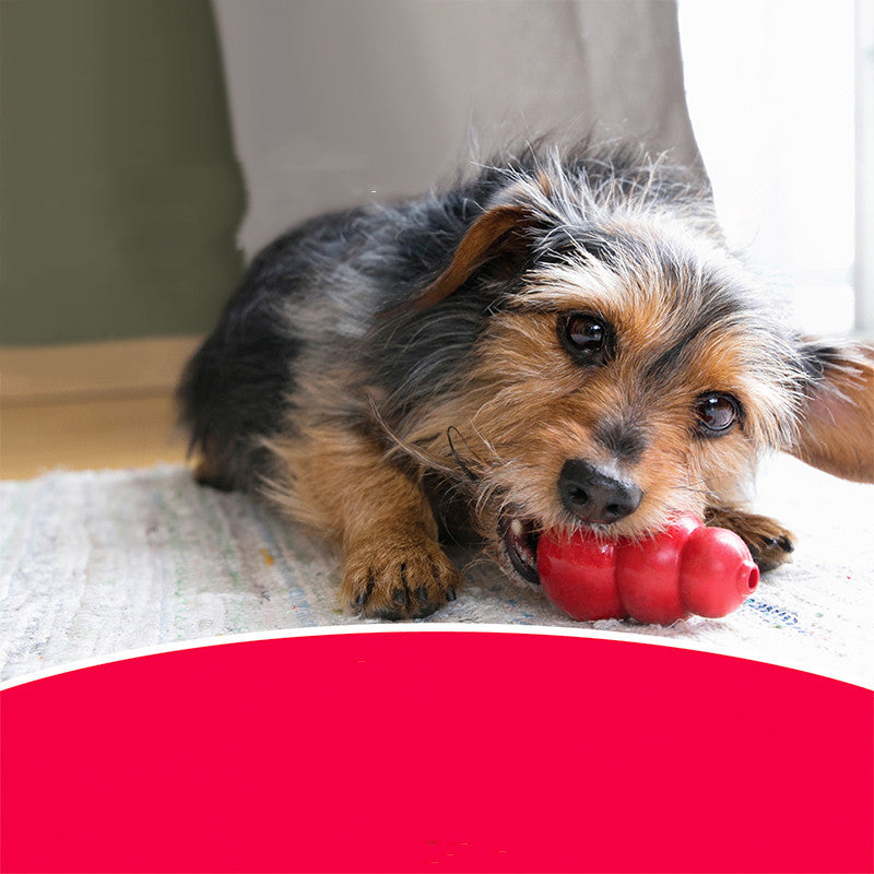 Bite-Resistant Rubber Chew Toys For Pets