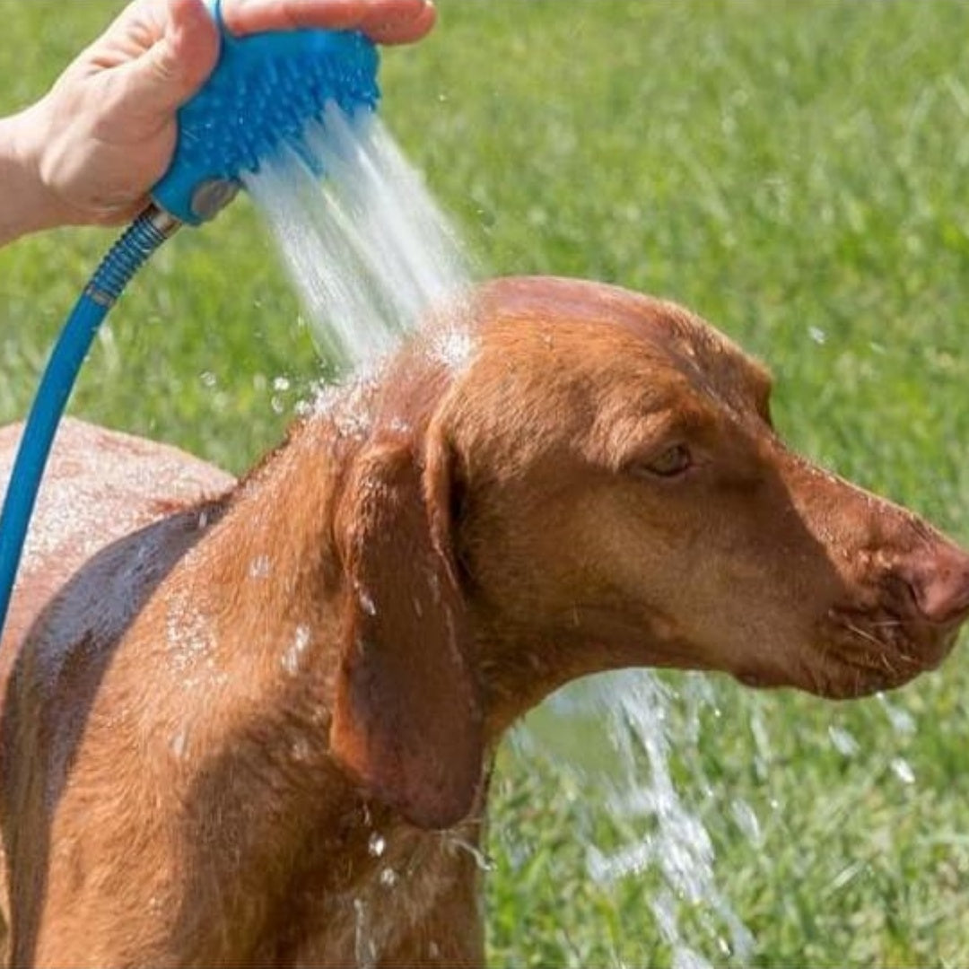 Handheld Silicone Pet Bath Gloves Brush For Outdoor Shower Massage