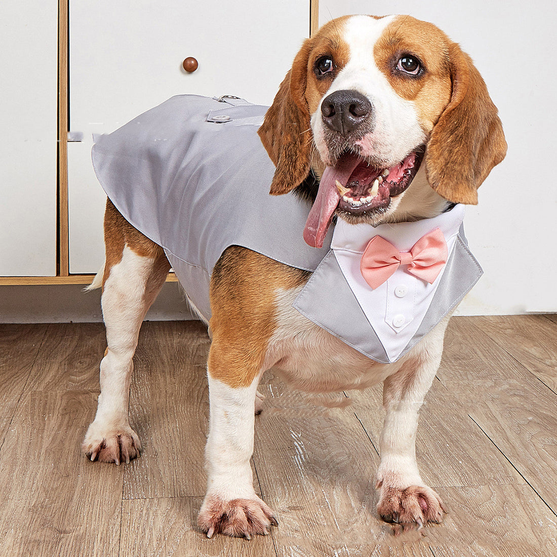 Pet Swallowtail Wedding Suit Jacket Formal Outfit