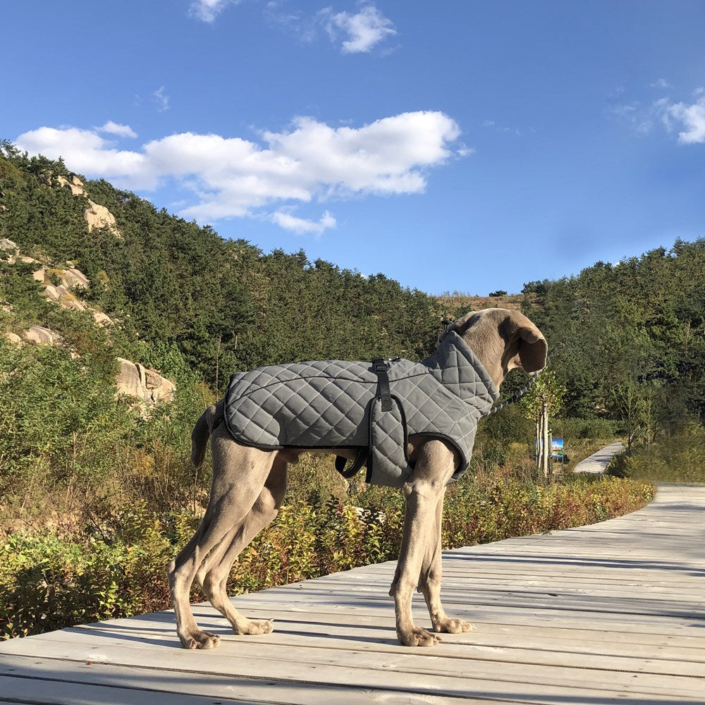 Full-Body Reflective Pet Tactical Jacket Outdoor Safety Coat