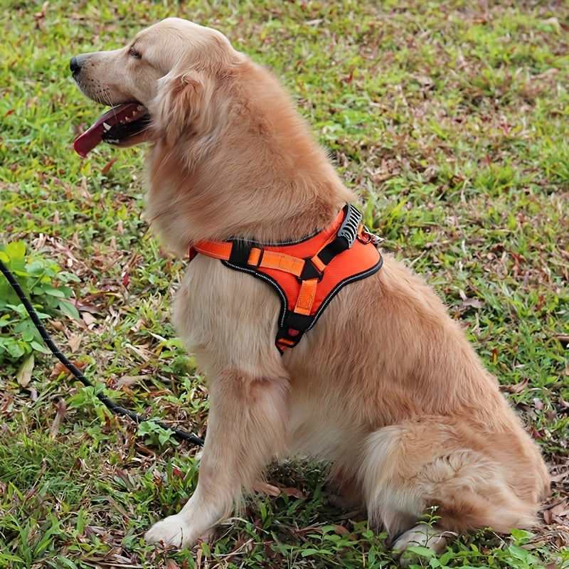 High Strength Pet Harness Leash Impact Resistant Adjustable Walking Gear