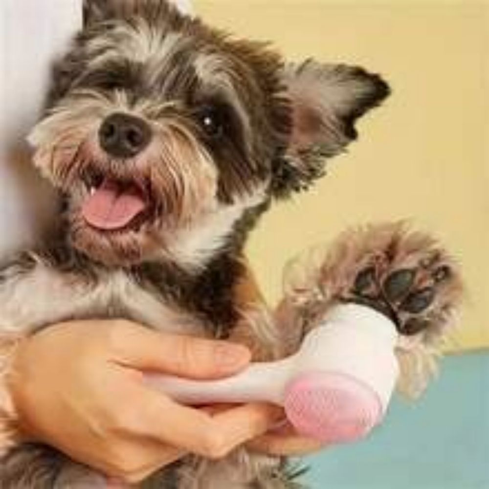 Easy Clean Nylon Pet Paw Brush Gentle Massage Grooming Tool