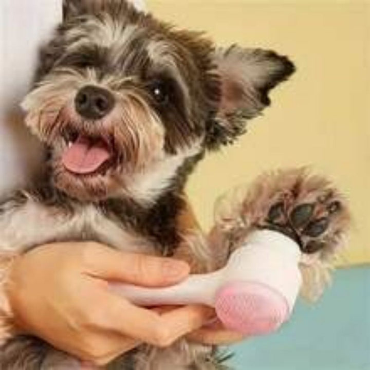 Easy Clean Nylon Pet Paw Brush Gentle Massage Grooming Tool
