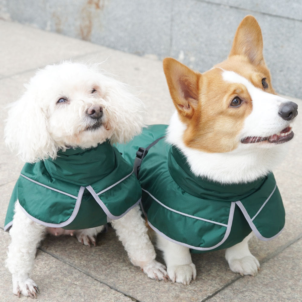Warm Pet Shell Jacket For Outdoor Comfort
