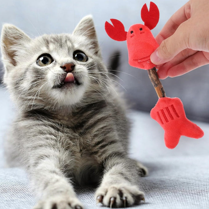 Teeth Cleaning Silvervine Chew Sticks Interactive Toys For Pets