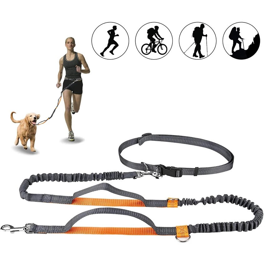 Adjustable Pet Harness Collar Leash For Jogging And Walking