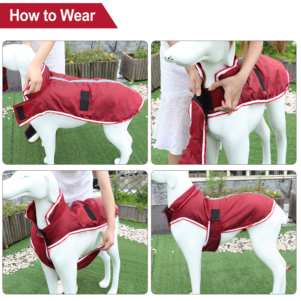 Warm Waterproof Leisure Jacket For Pets Autumn Winter