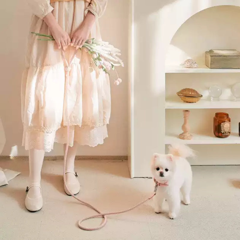 Leather Pet Collar And Leash Set Handheld Walking Rope