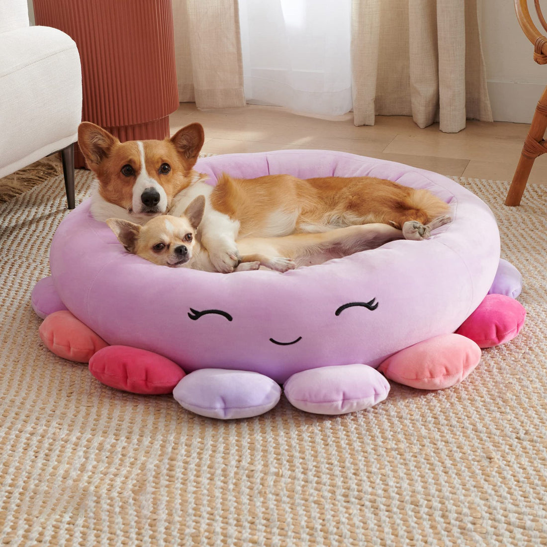 Super Soft Plush Pet Bed Animal And Fruit Design