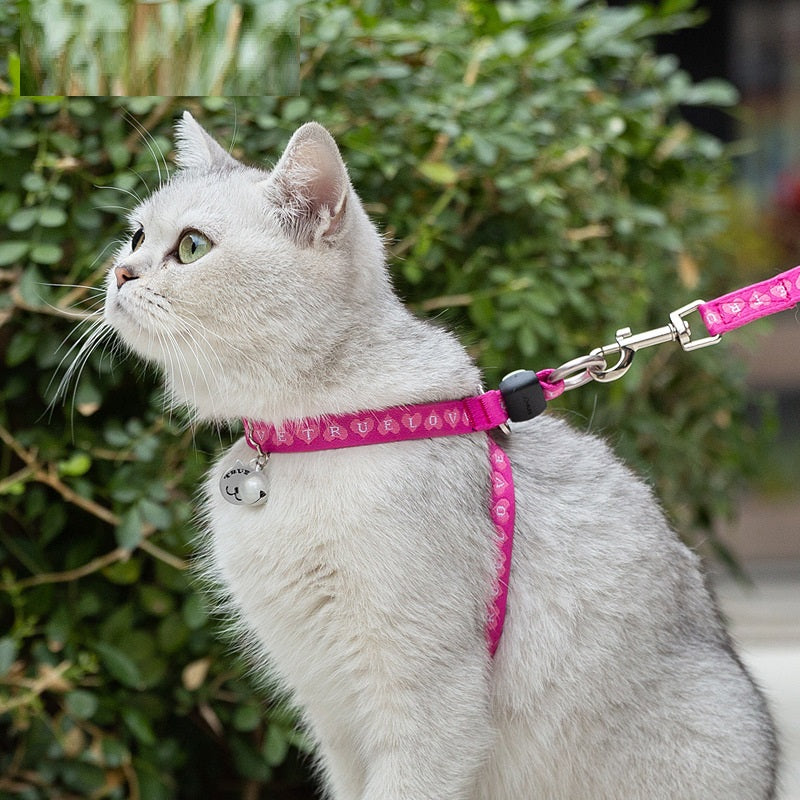 Pet Chest Strap Vest Leash Adjustable Walking Harness With Bell