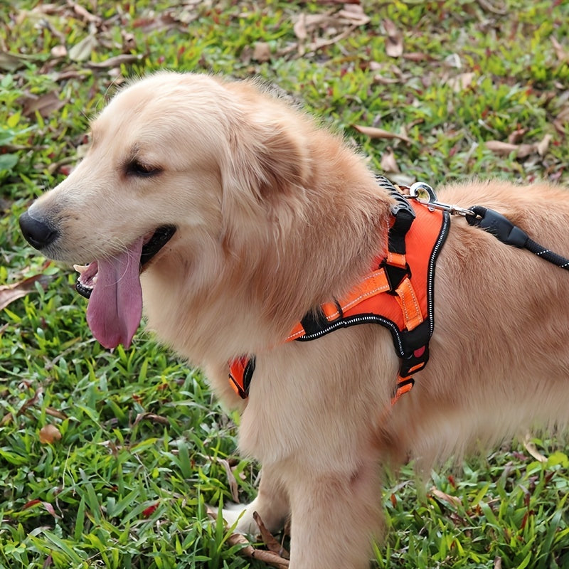 High Strength Pet Harness Leash Impact Resistant Adjustable Walking Gear